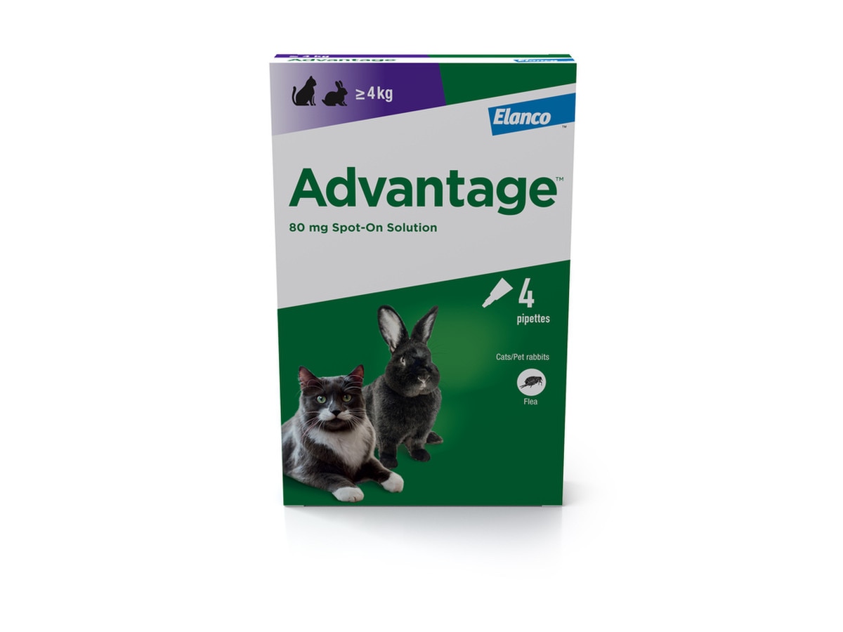 Advantage Flea Control Cat Next Day Delivery by 7pm